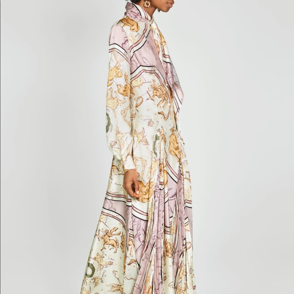 ZARA FALL LIMITED EDITION PRINTED PLEATED DRESS